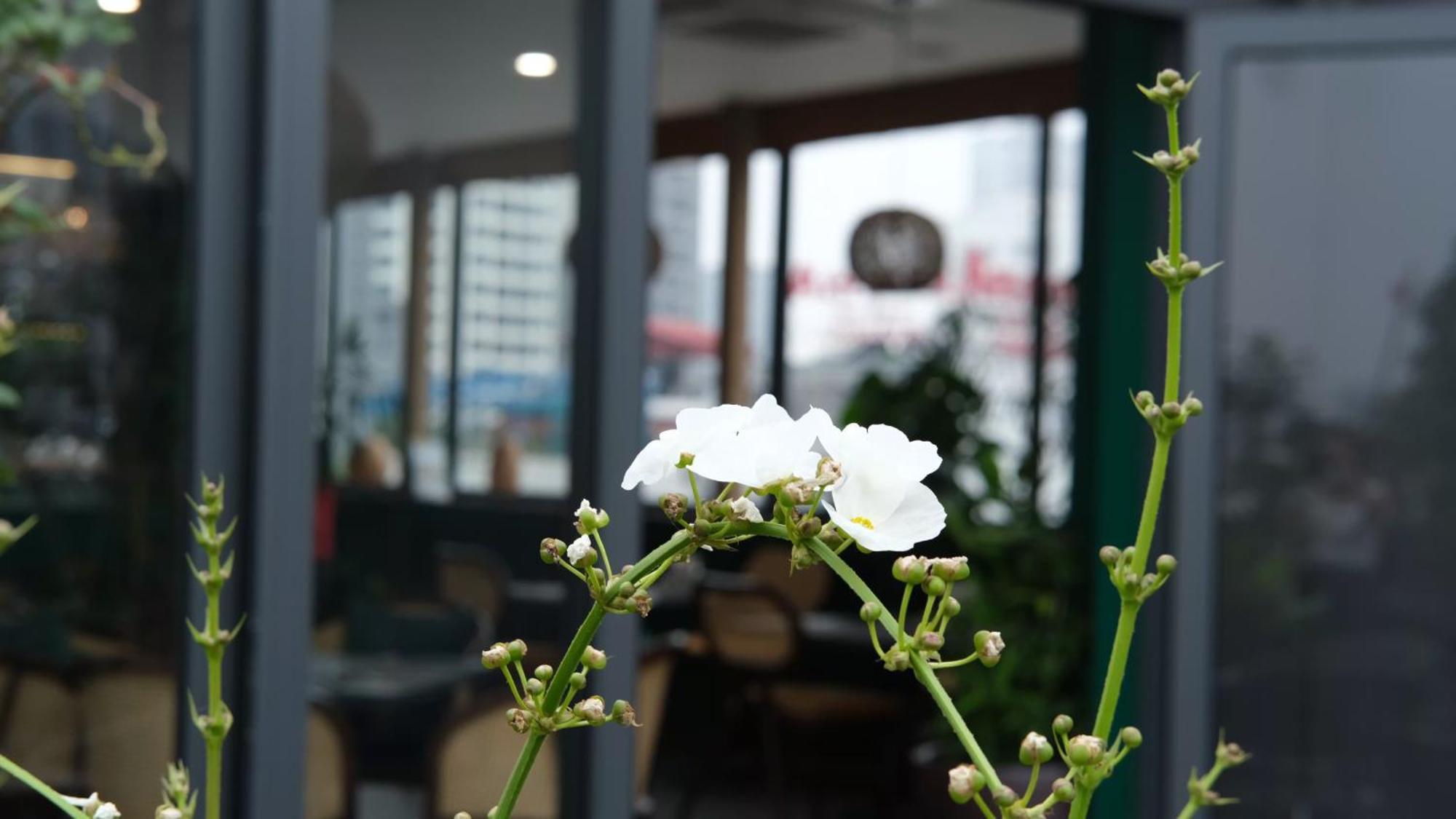 The Bloom Classic - Hotel And Bistro Hanoi Eksteriør bilde